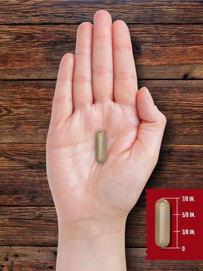 Carlyle Grass Fed Beef Organ Complex | 200 Capsules | Pasture Raised, Grain Free Supplement | with Desiccated Liver, Kidney, Pancreas, Heart, Spleen Carlyle