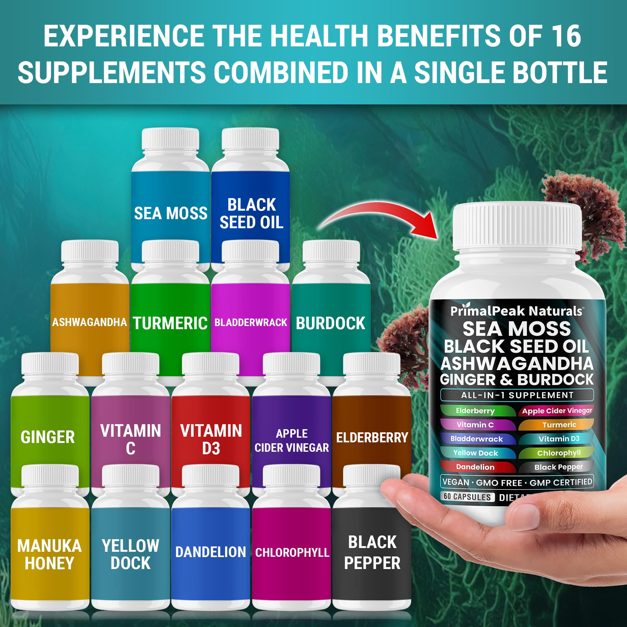 PrimalPeak Naturals Sea Moss Black Seed Oil Ashwagandha Ginger Burdock Bladderwrack Turmeric & Vitamin C Vitamin D3 with ACV Elderberry Chlorophyll Dandelion Yellow Dock Vegan Capsules - 60 Count PrimalPeak Naturals buy australia supplements