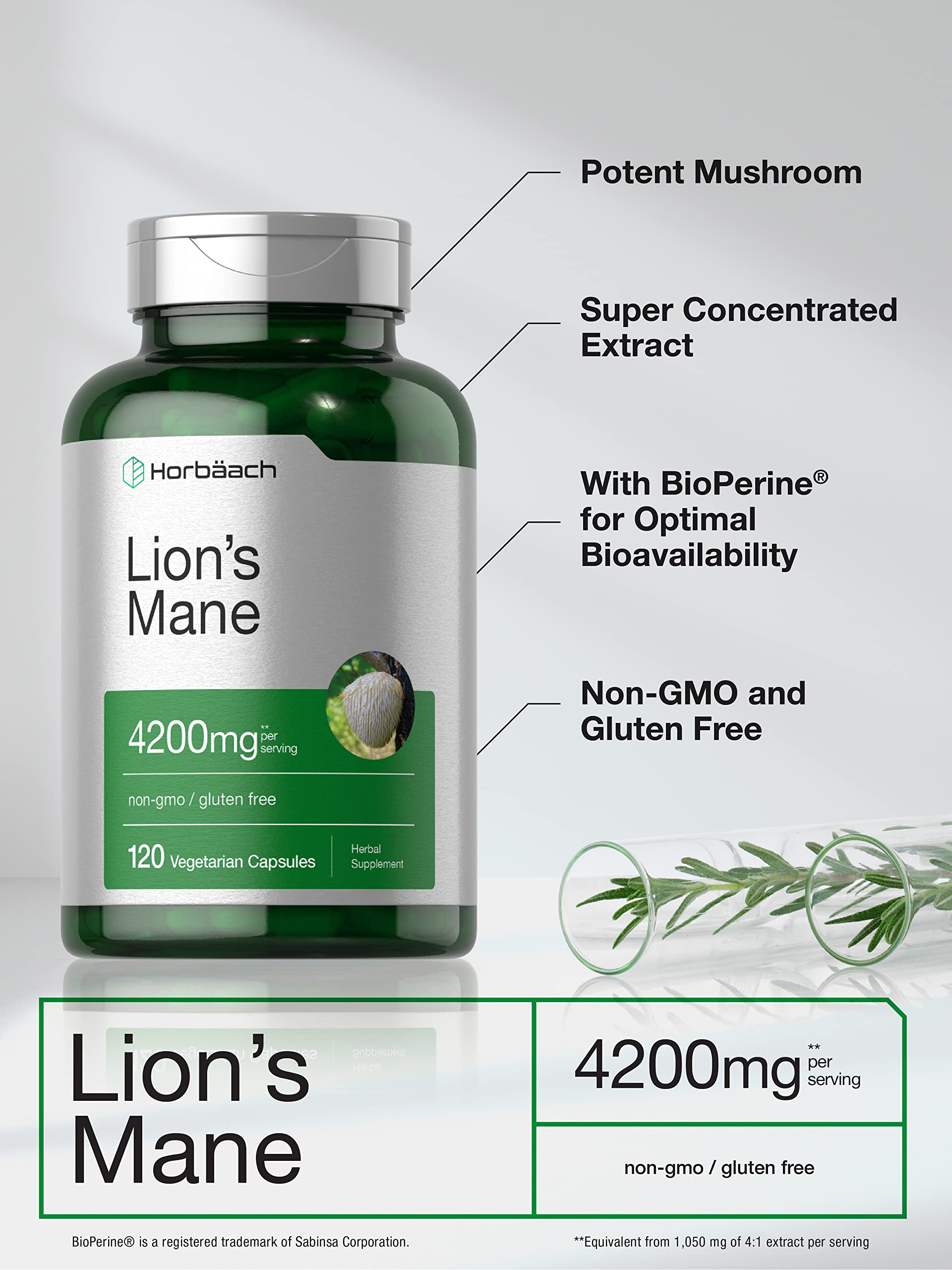 Horbäach Lions Mane Mushroom Extract | 120 Capsules | Vegetarian, Non-GMO, Gluten Free Supplement Horbäach