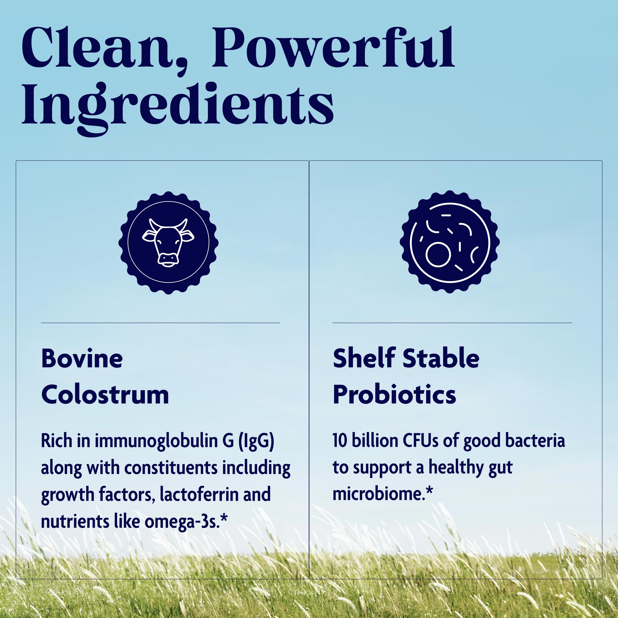 Enzymedica Colostrum + Probiotics Powder Supplement - Grass Fed Bovine Colostrum for Women & Men, Peptide & Lactoferrin Support, Promotes Hair, Skin, Nails, Immune & Gut Health, Gluten Free - 3.25 oz Enzymedica buy australia supplements