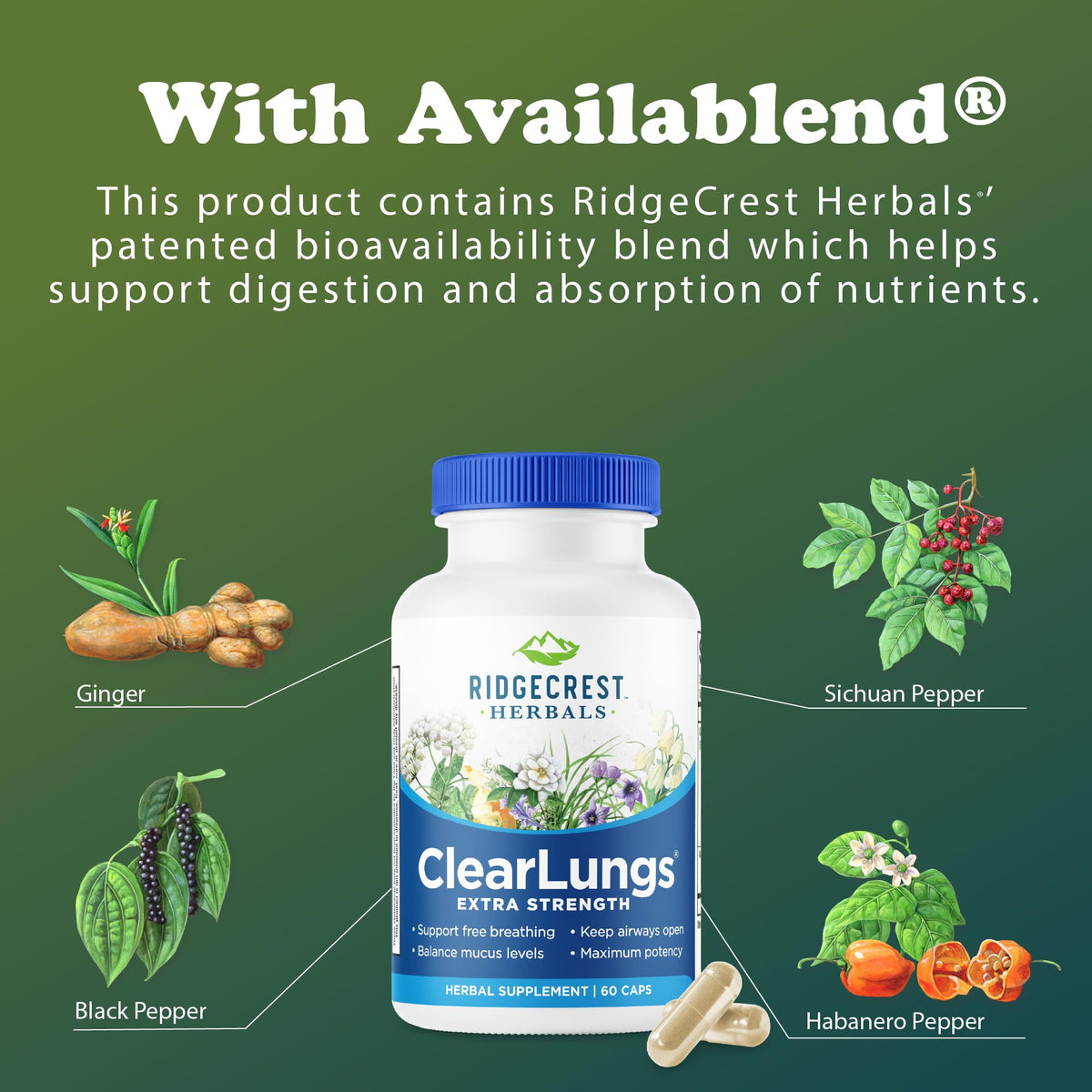 RidgeCrest Herbals ClearLungs Extra Strength, Daily Health Supplement, Natural Lung and Nasal Wellness Formula RidgeCrest Herbals