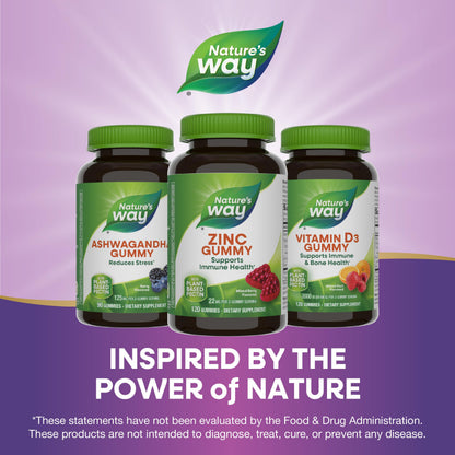 Nature's Way Zinc Gummies, Adult & Kids 9+ Immune Support Gummies*, 100% Daily Value per Serving, Mixed Berry Flavor, 120 Chews Nature's Way