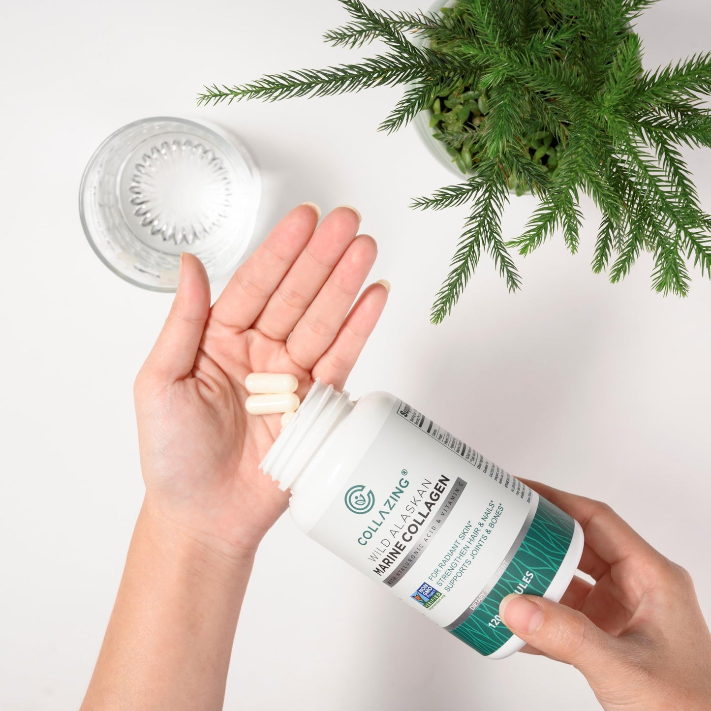 C COLLAZING - Alaskan Wild-Caught Marine Collagen Peptides with Hyaluronic Acid & Vitamin C - Supports Skin, Hair, Nails, Joints & Bones - Type 1 & 3 Collagen C COLLAZING