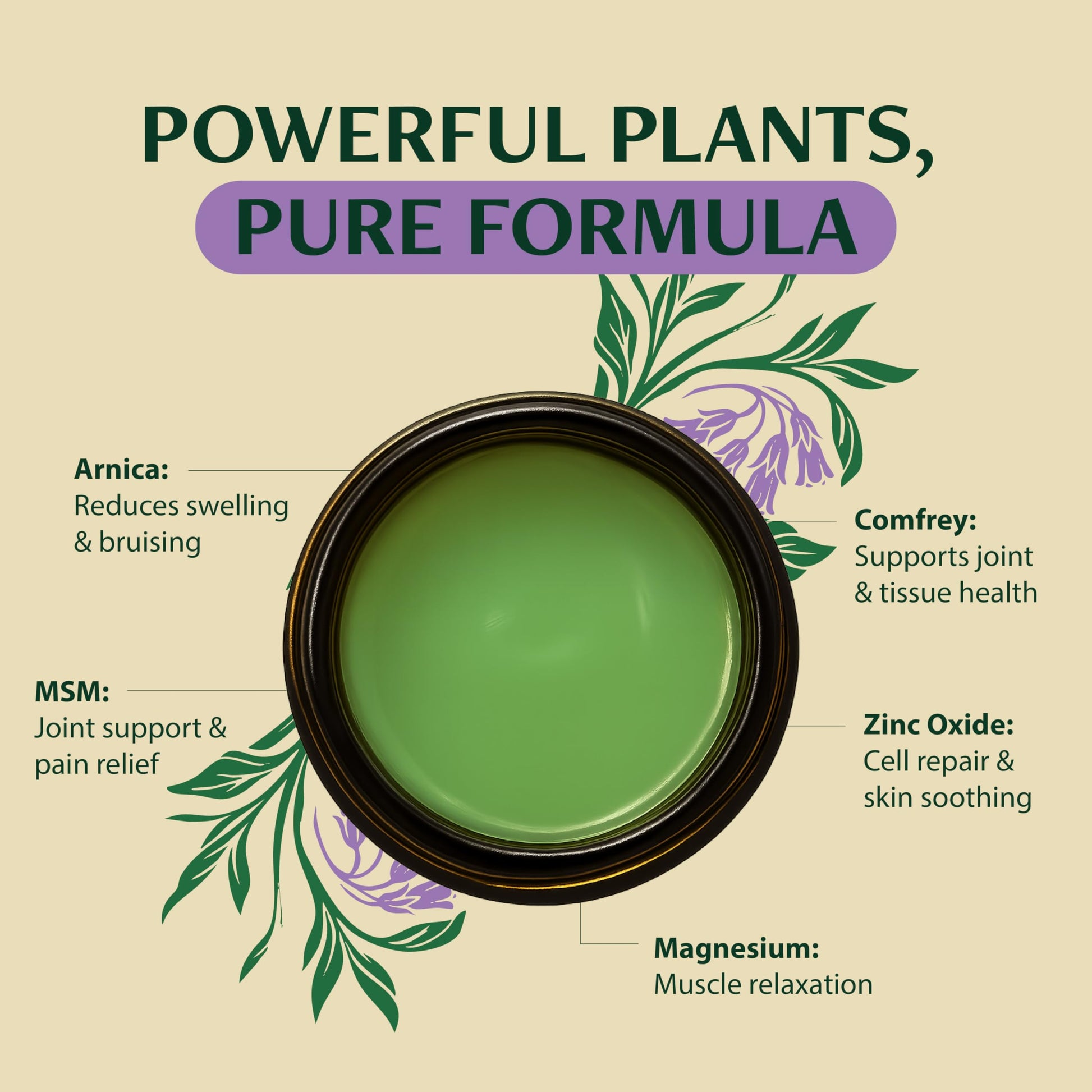 Wild Healing Comfrey Salve – Concentrated Herbal Balm with Arnica, Magnesium & MSM – Soothing Botanical Cream for Joints, Muscles & Dry Skin – 4.23 oz Wild Healing buy australia supplements