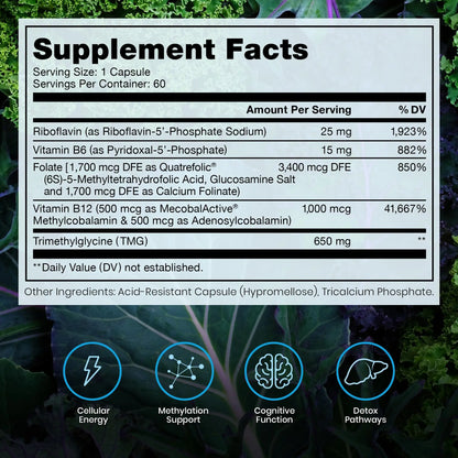 Methylated B Complex Vitamins, Made in USA, 2 Month Supply, Methyl B Complete Quatrefolic 5-MTHF Folate, B12 Methylcobalamin, TMG Trimethylglycine Pure Therapro Rx
