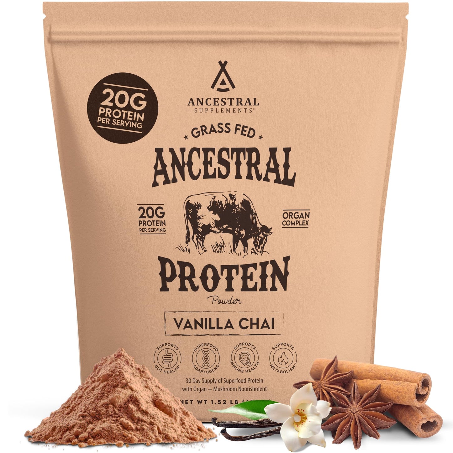Ancestral Supplements Grass Fed Protein Powder, Chocolate, Beef Bone Broth Based w/Beef Organs & Organic Mushrooms, Gut Health Support, High Protein Supplement, 20g Protein Per Serving, 30 Day Supply