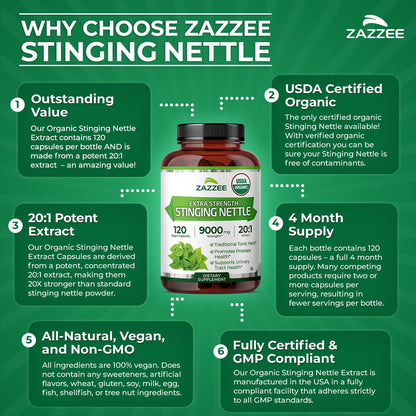 Zazzee USDA Organic Stinging Nettle Leaf 20:1 Extract, 120 Vegan Capsules | 4 Month Supply, Respiratory, Immune & Seasonal Wellness Support, Urtica Dioica, Organic Herbal Supplement, Made in the USA Gsupps Australia