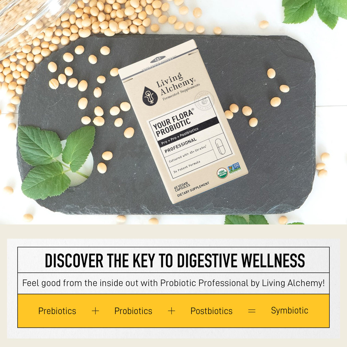 Living Alchemy Gut Health Supplements for Men & Women - Your Flora Probiotic Professional Digestion Supplement with Fermented Soybean, Prebiotics, Living Alchemy