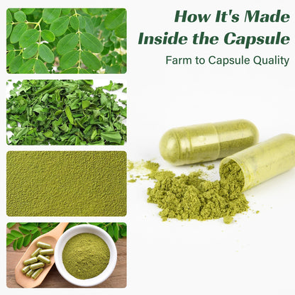 Moringa Capsules, Moringa Pure Capsules For Energy, Immune Support, Gut Health & Powerful Green Superfood, Rich In Antioxidants, Essential Vitamins & Amino Acids MEDI BOTIC