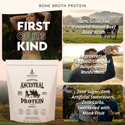Ancestral Supplements Grass Fed Protein Powder, Chocolate, Beef Bone Broth Based w/Beef Organs & Organic Mushrooms, Gut Health Support, High Protein Supplement, 20g Protein Per Serving, 30 Day Supply