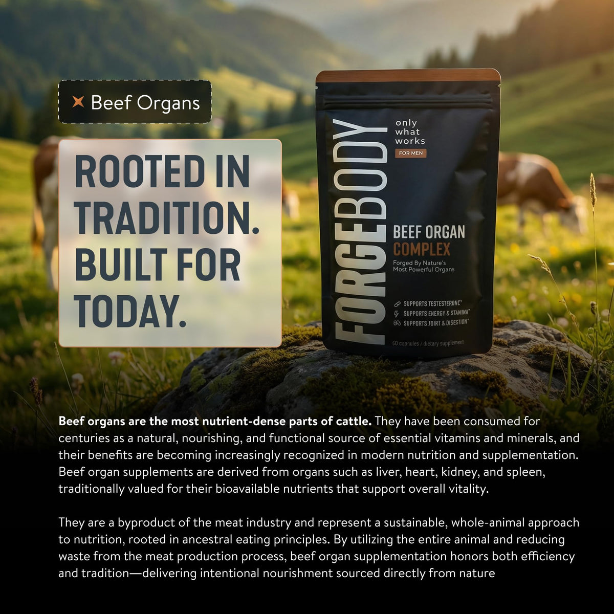 FORGEBODY® Beef Organ Complex Capsules [1 Month] - 100% Grass Fed Beef Organ Supplement with Blend of Liver, Heart, Bone Marrow, Pancreas & Testicles FORGEMEN