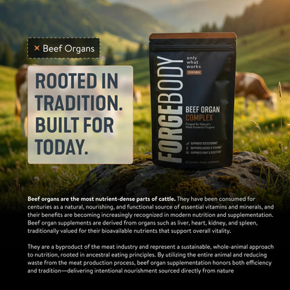 FORGEBODY® Beef Organ Complex Capsules [1 Month] - 100% Grass Fed Beef Organ Supplement with Blend of Liver, Heart, Bone Marrow, Pancreas & Testicles FORGEMEN