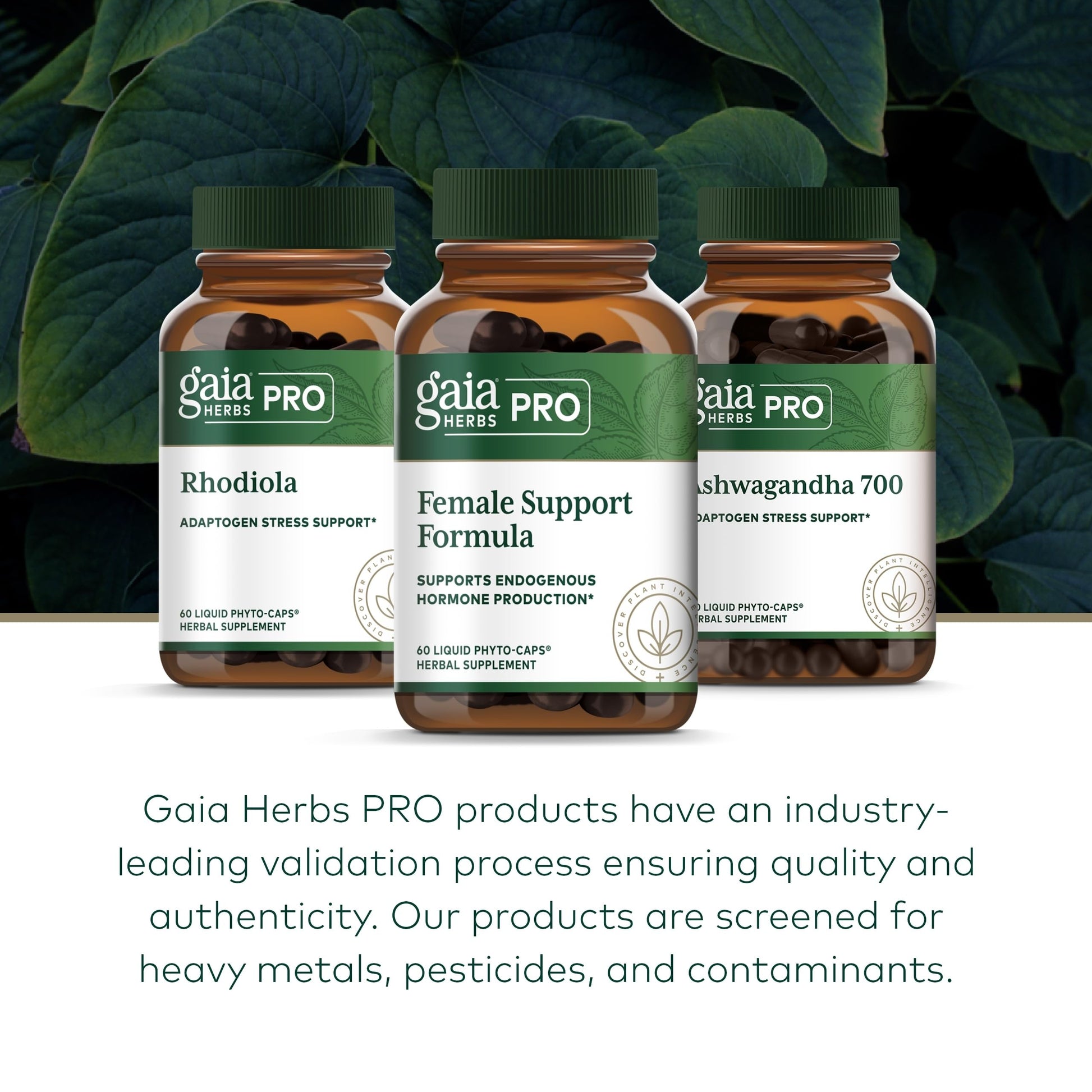 GAIA HERBS PRO Female Support Formula - Supports Healthy PMS & Menopause Fluctuations with Alfalfa Leaf, Black Cohosh Root Extract, Dandelion Root & More* - Vegan - 60 Liquid Phyto-Caps (60 Servings) Gaia Herbs PRO buy australia supplements
