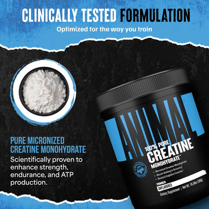 Animal Creatine Monohydrate Powder — Micronized for Muscle Recovery, Cellular Energy, and Daily Wellness — for Men and Women Animal