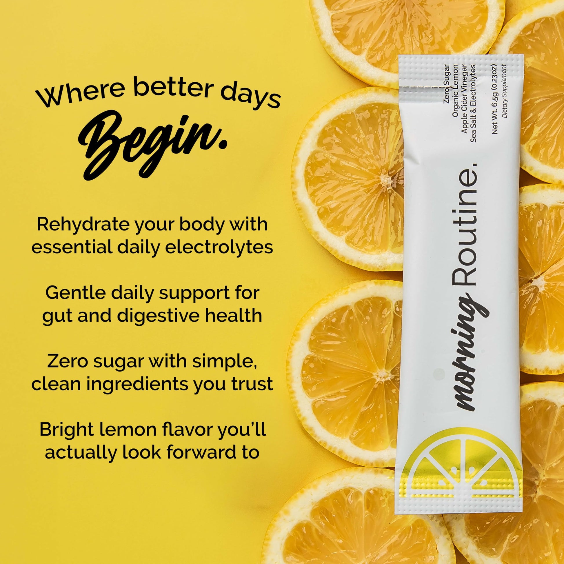 ROUTINE Morning Daily Hydration | Electrolyte Powder Packets | Lemon, Apple Cider Vinegar & Sea Salt Drink Mix | Sugar-Free, Keto & Paleo-Friendly | 3rd-Party ROUTINE buy australia supplements