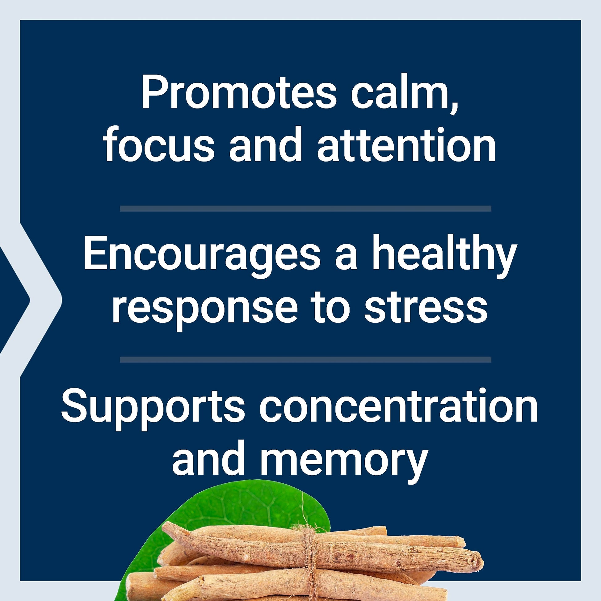 Life Extension Ashwagandha Plus Calm & Focus, ashwagandha Extract, Spearmint Extract, Focus, Attention, Relaxation, Advanced Formula, 60 Vegetarian Capsules Life Extension buy australia supplements