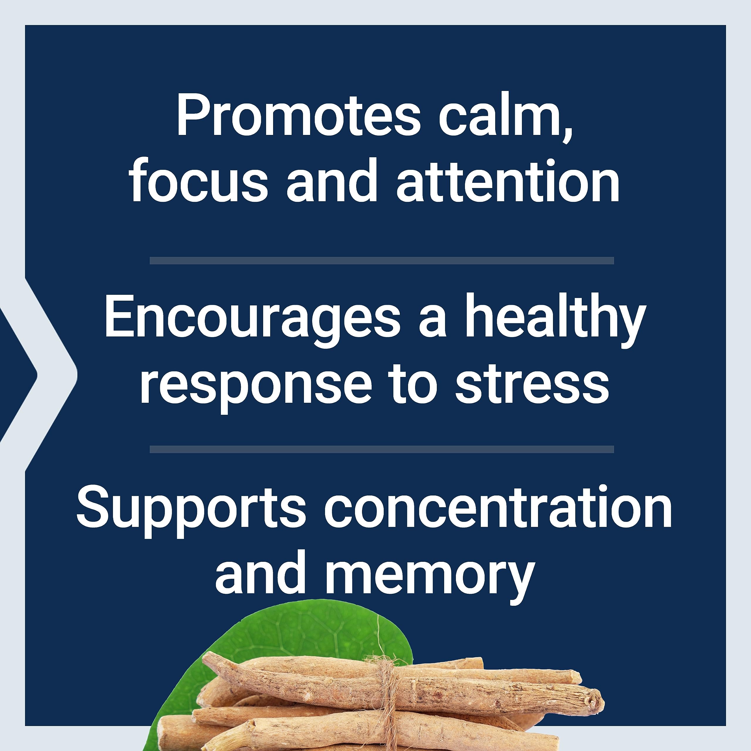 Life Extension Ashwagandha Plus Calm & Focus, ashwagandha Extract, Spearmint Extract, Focus, Attention, Relaxation, Advanced Formula, 60 Vegetarian Capsules Life Extension buy australia supplements