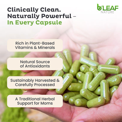 B'Leaf Nature Moringa Capsules Organic 1000mg — Pure Moringa Oleifera Leaf Powder Capsules for Energy & Immune Support B'LEAF NATURE