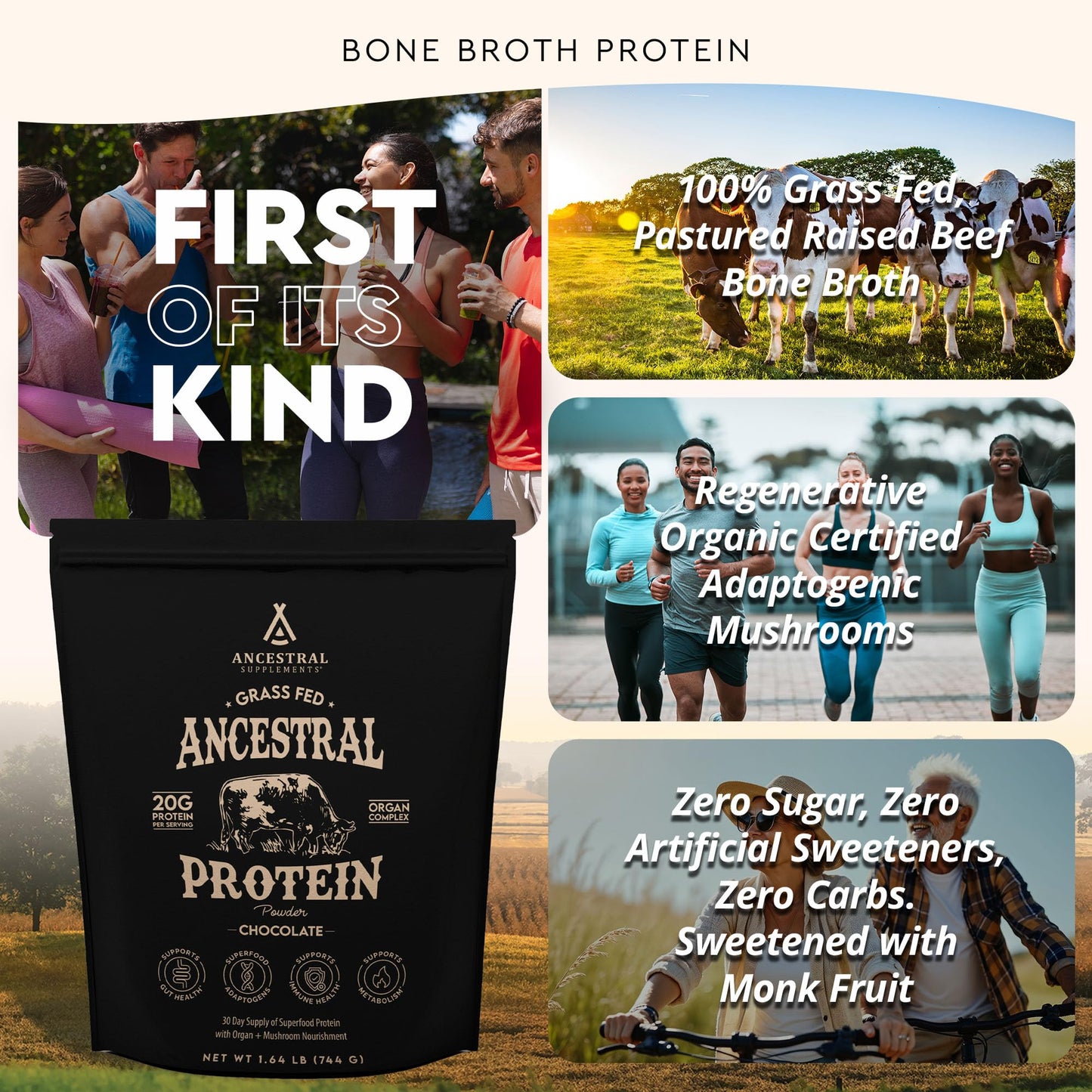 Ancestral Supplements Grass Fed Protein Powder, Chocolate, Beef Bone Broth Based w/Beef Organs & Organic Mushrooms, Gut Health Support, High Protein Supplement, 20g Protein Per Serving, 30 Day Supply