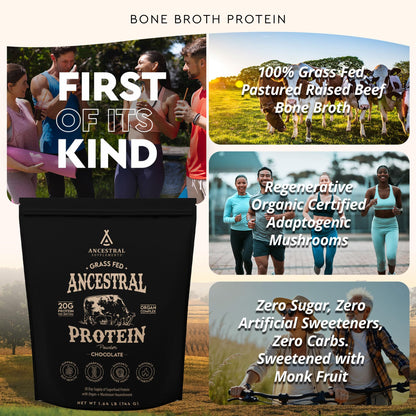 Ancestral Supplements Grass Fed Protein Powder, Chocolate, Beef Bone Broth Based w/Beef Organs & Organic Mushrooms, Gut Health Support, High Protein Supplement, 20g Protein Per Serving, 30 Day Supply