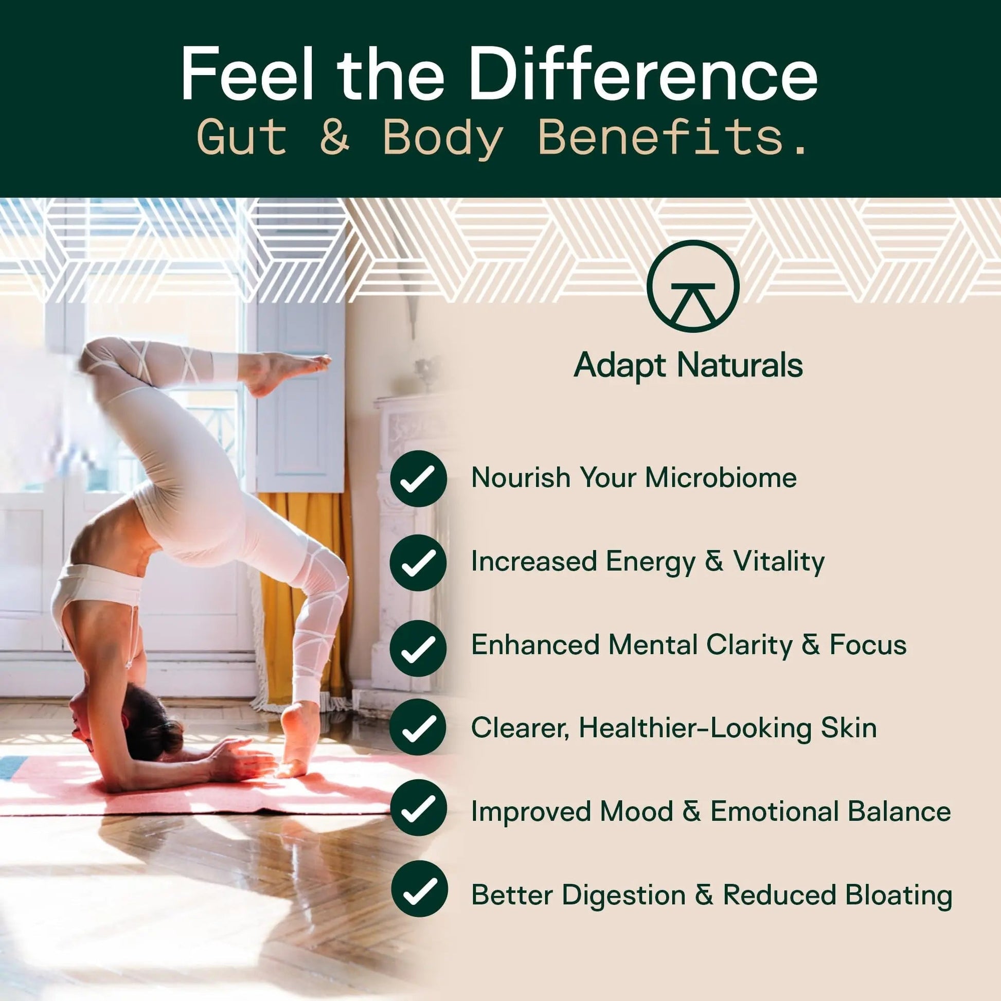 Adapt Naturals 4-in-1 Biome Protect Prebiotics, Probiotics Supplement Postbiotics & Polyphenols for Microbiome, Gut Health & Defense for Women & Men, 30 Day Supply ADAPT NATURALS BY CHRIS KRESSER buy australia supplements