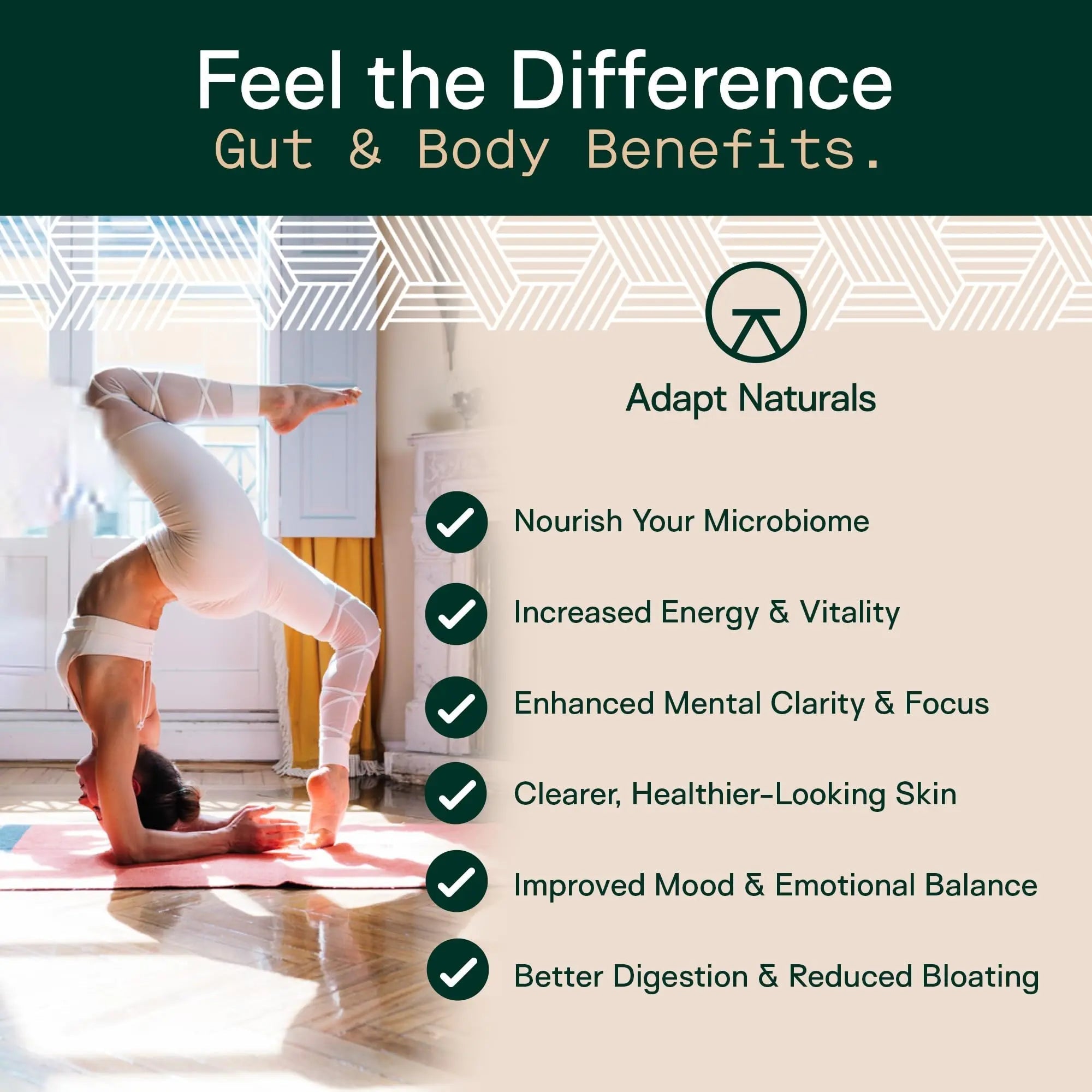 Adapt Naturals 4-in-1 Biome Protect Prebiotics, Probiotics Supplement Postbiotics & Polyphenols for Microbiome, Gut Health & Defense for Women & Men, 30 Day Supply ADAPT NATURALS BY CHRIS KRESSER buy australia supplements