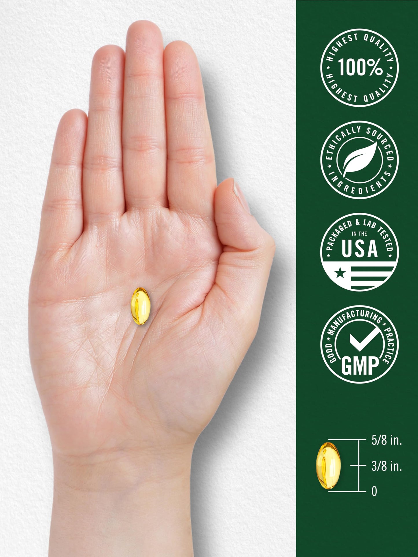 Carlyle Oregano Oil Supplement | 150 Softgel Capsules | Contains Carvacrol | Non-GMO & Gluten Free Formula Carlyle