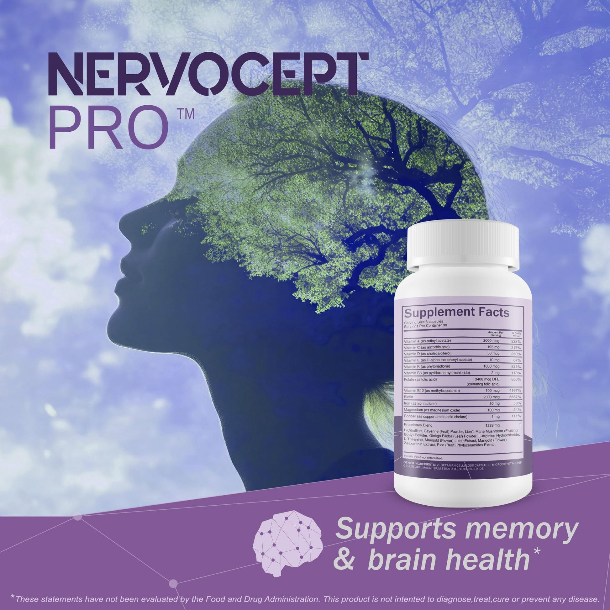 Nervocept Pro - Our Best Nerve Support Capsules - Lions Mane, Magnesium, Vitamin B For Nerve Repair - Vitamin D for Nerves - Lions Mane Memory & Nerve Support - Vitamin B12 Nerve Support True You Health buy australia supplements