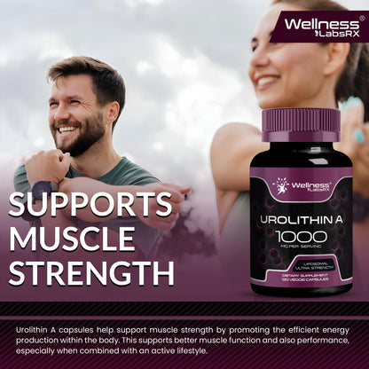 Urolithin A Supplement Capsules 1,000mg (98.9% Pure) – Advanced Urolithin A+ Formula for Cellular Renewal & Mitochondrial Support WELLNESS LABSRX