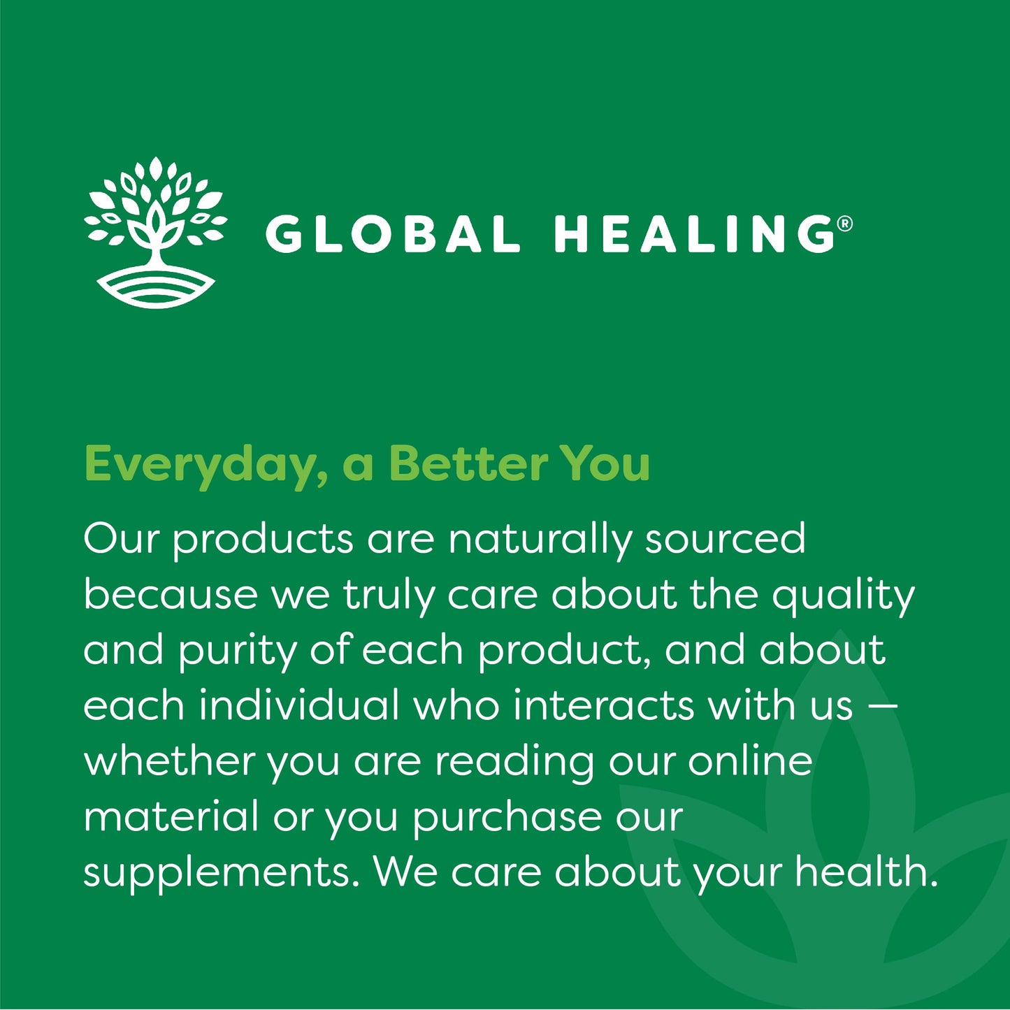 Global Healing Center - Vitamin B12 5000 mcg, Organic Sublingual Liquid Drops | 3-in-1 Methylcobalamin, Adenosylcobalamin, Hydroxo Blend, 1 Fl Oz (2-Pack)