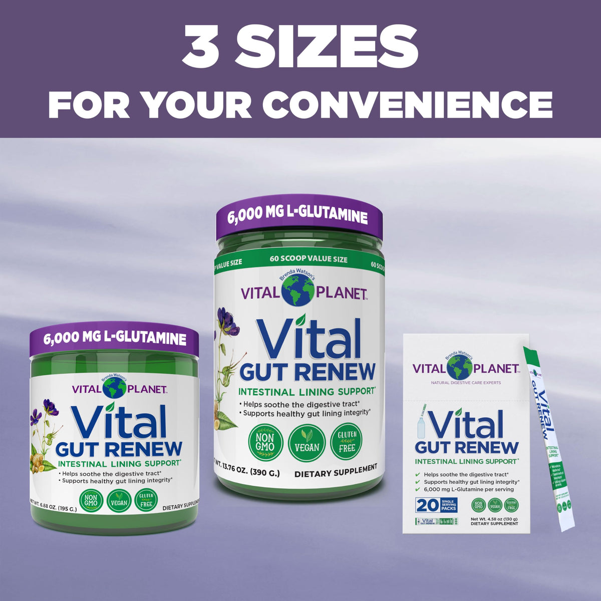 Vital Planet - Vital Gut Renew Powder Supplement for Leaky Gut Repair with L-Glutamine, Marshmallow and Ginger Root, DGL Licorice Root and Organic Vital Planet