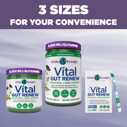 Vital Planet - Vital Gut Renew Powder Supplement for Leaky Gut Repair with L-Glutamine, Marshmallow and Ginger Root, DGL Licorice Root and Organic Vital Planet