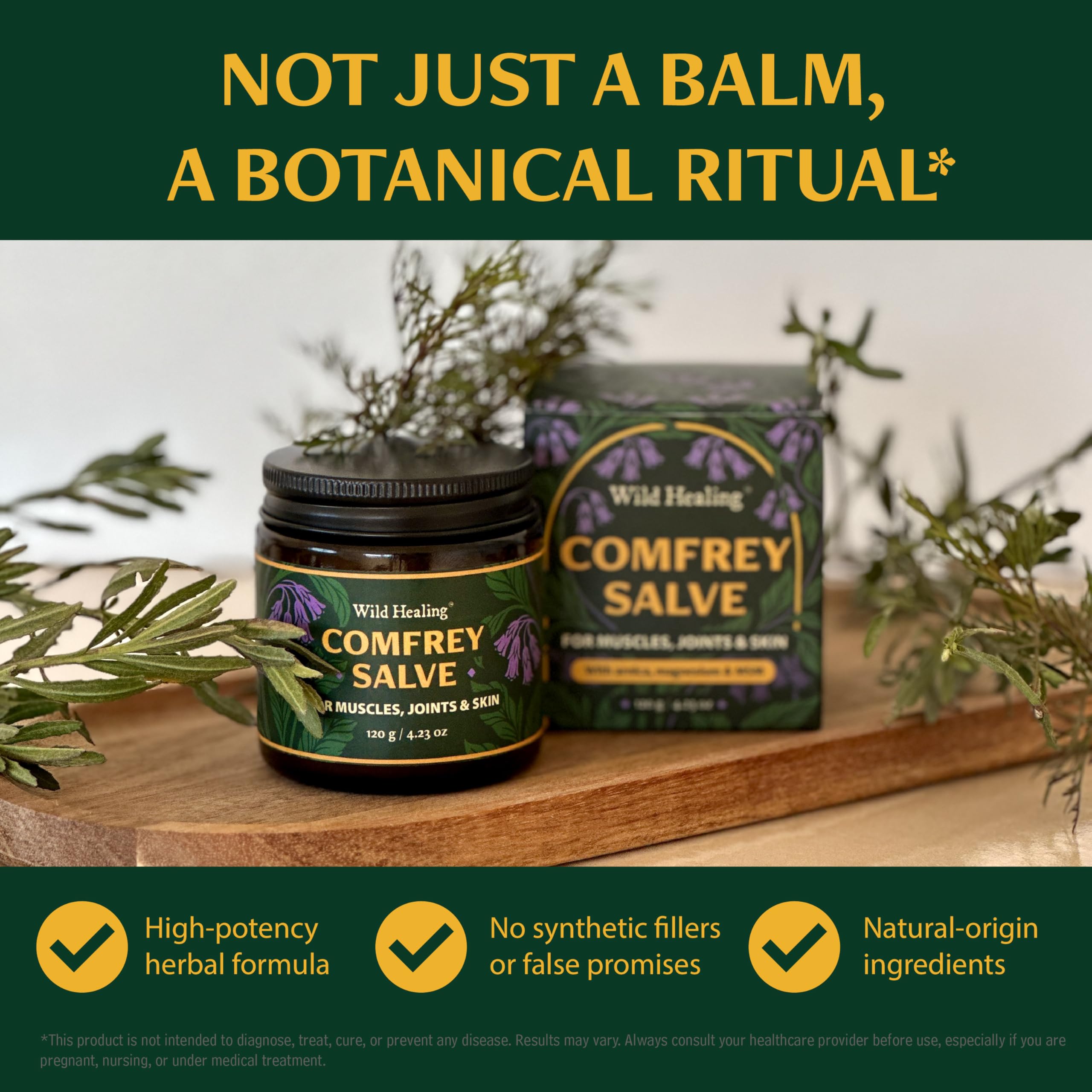 Wild Healing Comfrey Salve – Concentrated Herbal Balm with Arnica, Magnesium & MSM – Soothing Botanical Cream for Joints, Muscles & Dry Skin – 4.23 oz Wild Healing buy australia supplements
