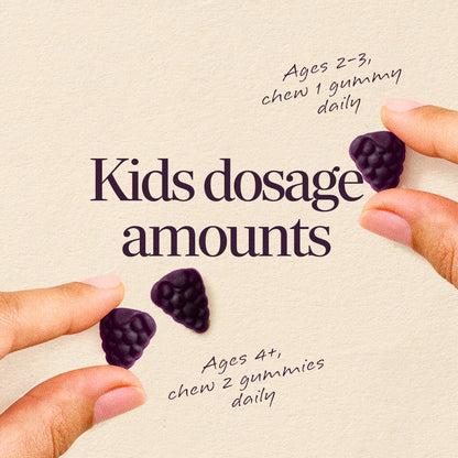 Nature’s Way Sambucus Kids Elderberry Immune Gummies with Black Elderberry Extract, Daily Immune Support Gummy with Vitamin C and Zinc Nature's Way