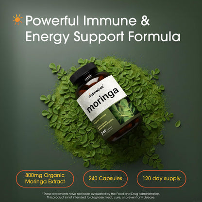 NatureBell Moringa - 240 Capsules - Organic Moringa for Immune, Energy & Skin Health Support - Green Superfood Properties NatureBell