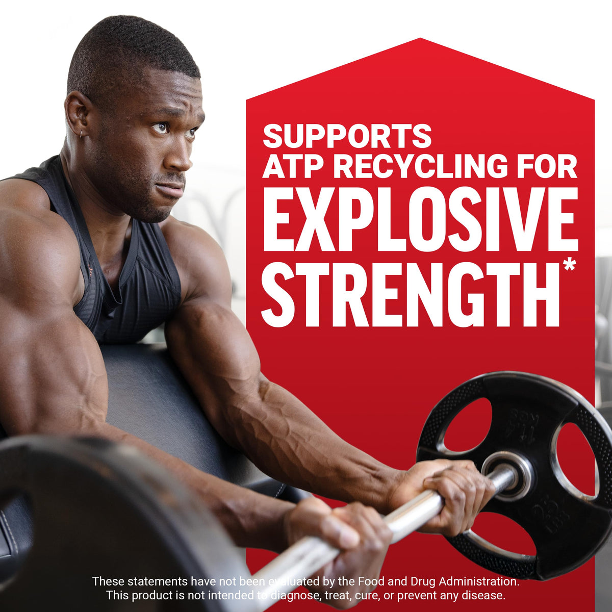 Force Factor Creatine Monohydrate Powder, 5g Micronized Dose to Support Muscle Growth, Strength, Recovery, Cognitive Health & Memory Force Factor