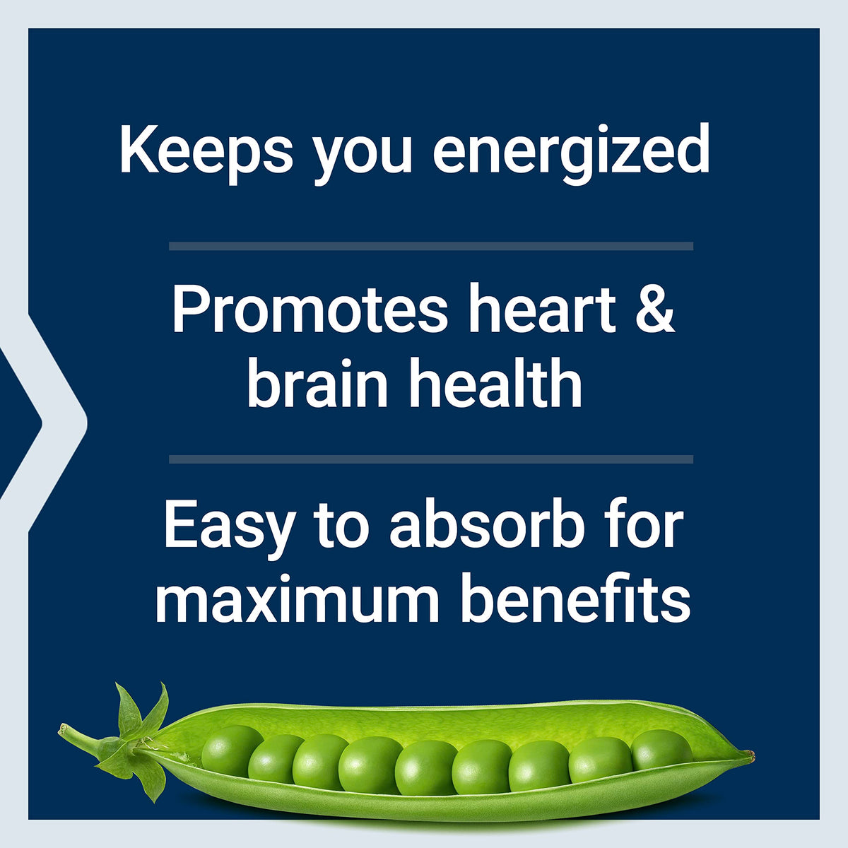 Life Extension BioActive Complete B-Complex, Heart,  Nerve Support, Healthy Energy, Metabolism, Complete B Complex, 60 Vegetarian Capsules Life Extension