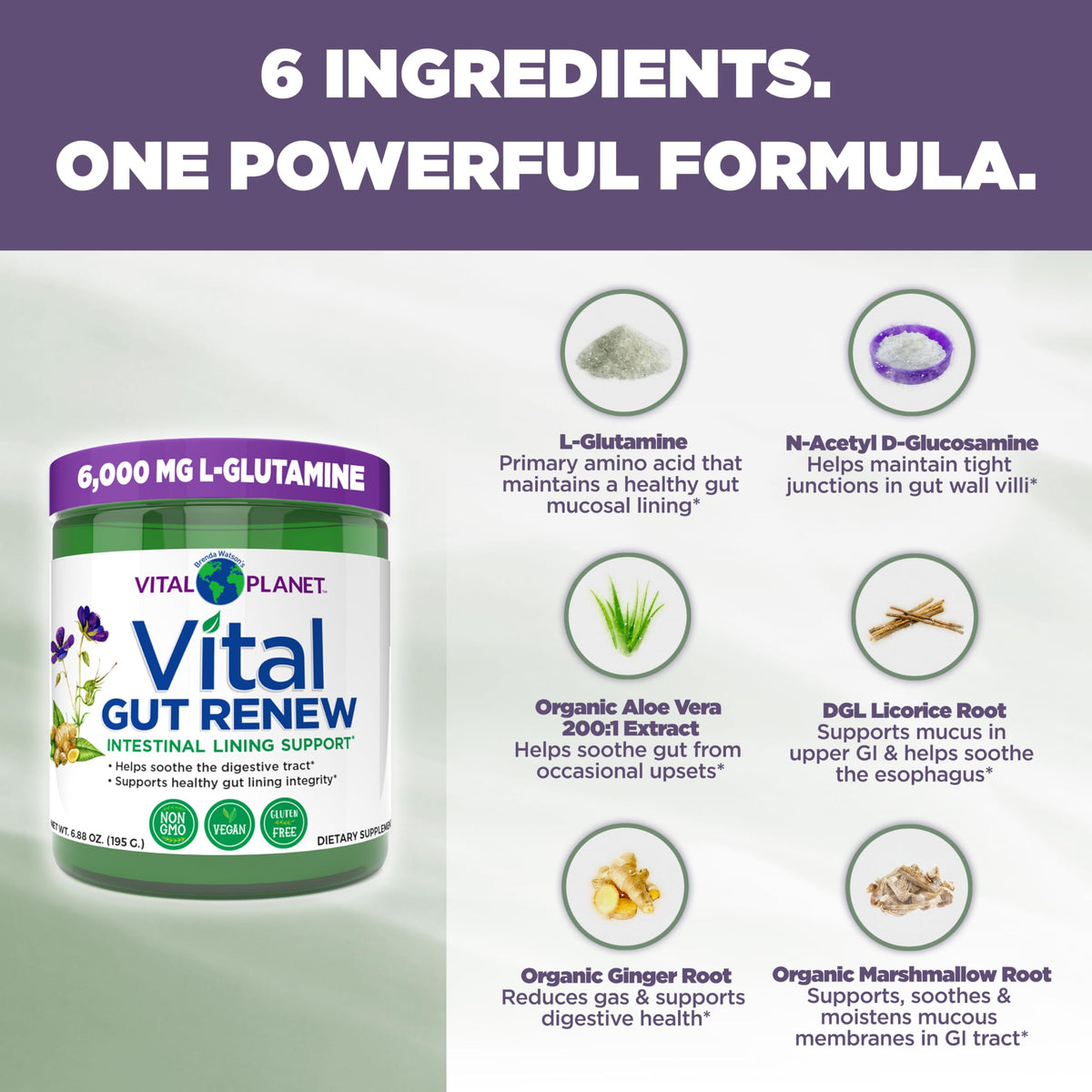 Vital Planet - Vital Gut Renew Powder Supplement for Leaky Gut Repair with L-Glutamine, Marshmallow and Ginger Root, DGL Licorice Root and Organic Vital Planet