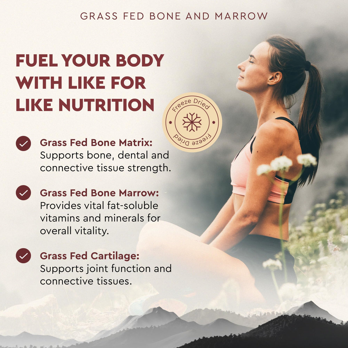 Ancestral Supplements Grass Fed Beef Bone and Marrow Supplement, 180 Ct Ancestral Supplements