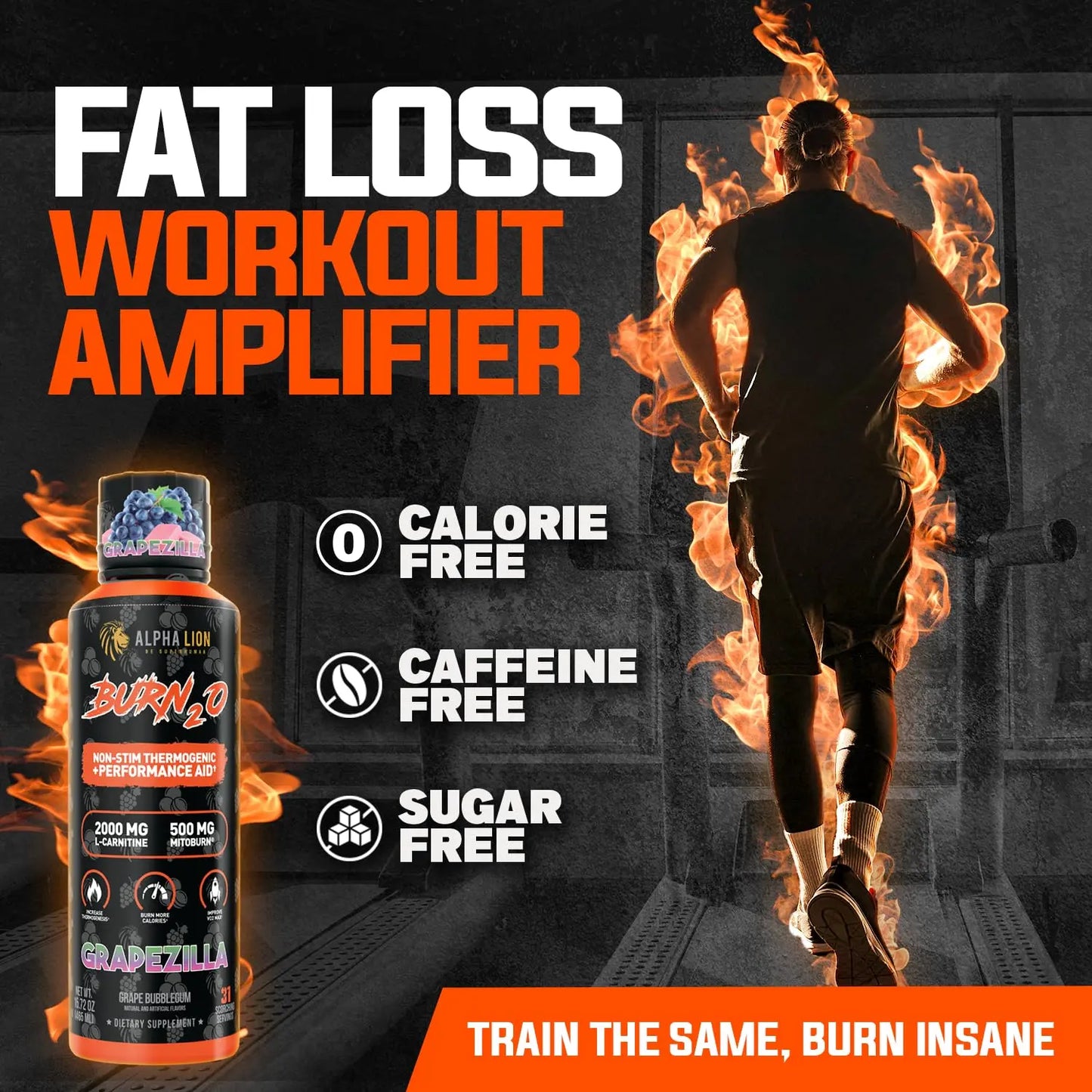 ALPHA LION Burn2O L-Carnitine Liquid 2000mg – Stim Free Super Thermogenic Fat Burner with MitoBurn® & CaloriBurn GP®, Metabolism Booster, Zero Calorie ALPHA LION
