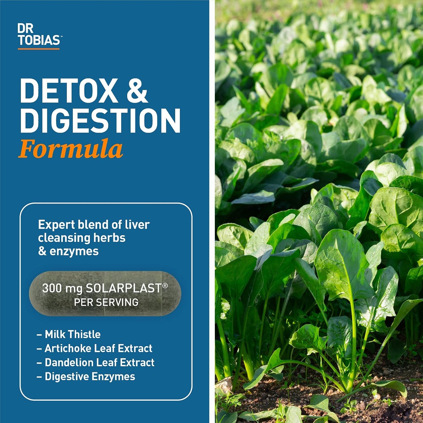 Dr. Tobias Colon 14 Day Cleanse & Liver 21 Day Cleanse Supplements, with Fiber, Herbs & Probiotics, Solarplast, Artichoke, Milk Thistle, Supports Gut and Liver Health.