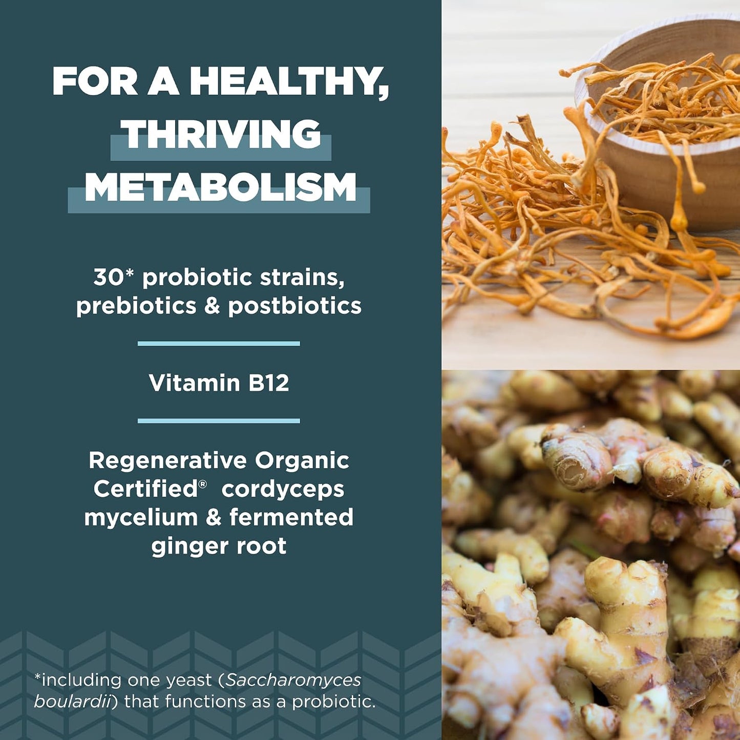 Ancient Nutrition Regenerative Organic Certified Probiotics for Metabolism Support, Healthy Digestion and Immune System Function Support, 50 Billion CFUs* Per Serving, 60 Count Gsupps Australia
