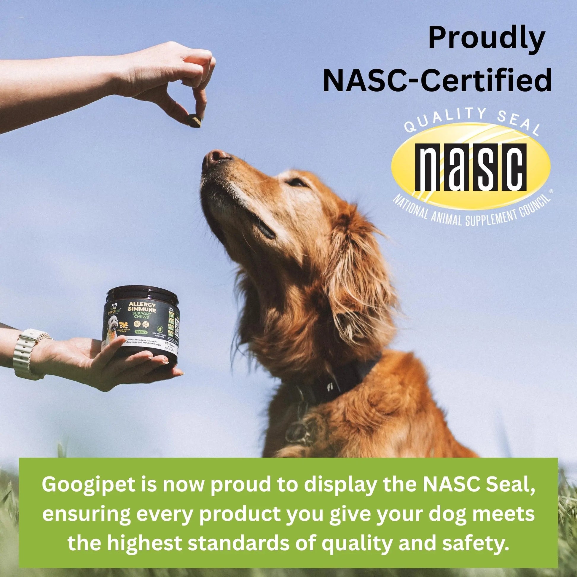 Googipet Probiotics for Dogs Digestive Health - Prebiotics and Probiotics Chews for Dog Yeast Infection Treatment + Digestive Enzymes - Dog Probiotics for Itchy Skin & Ears w/Papaya, Pumpkin, & Fiber GOOGIPET NATURAL PET PRODUCTS buy australia supplements
