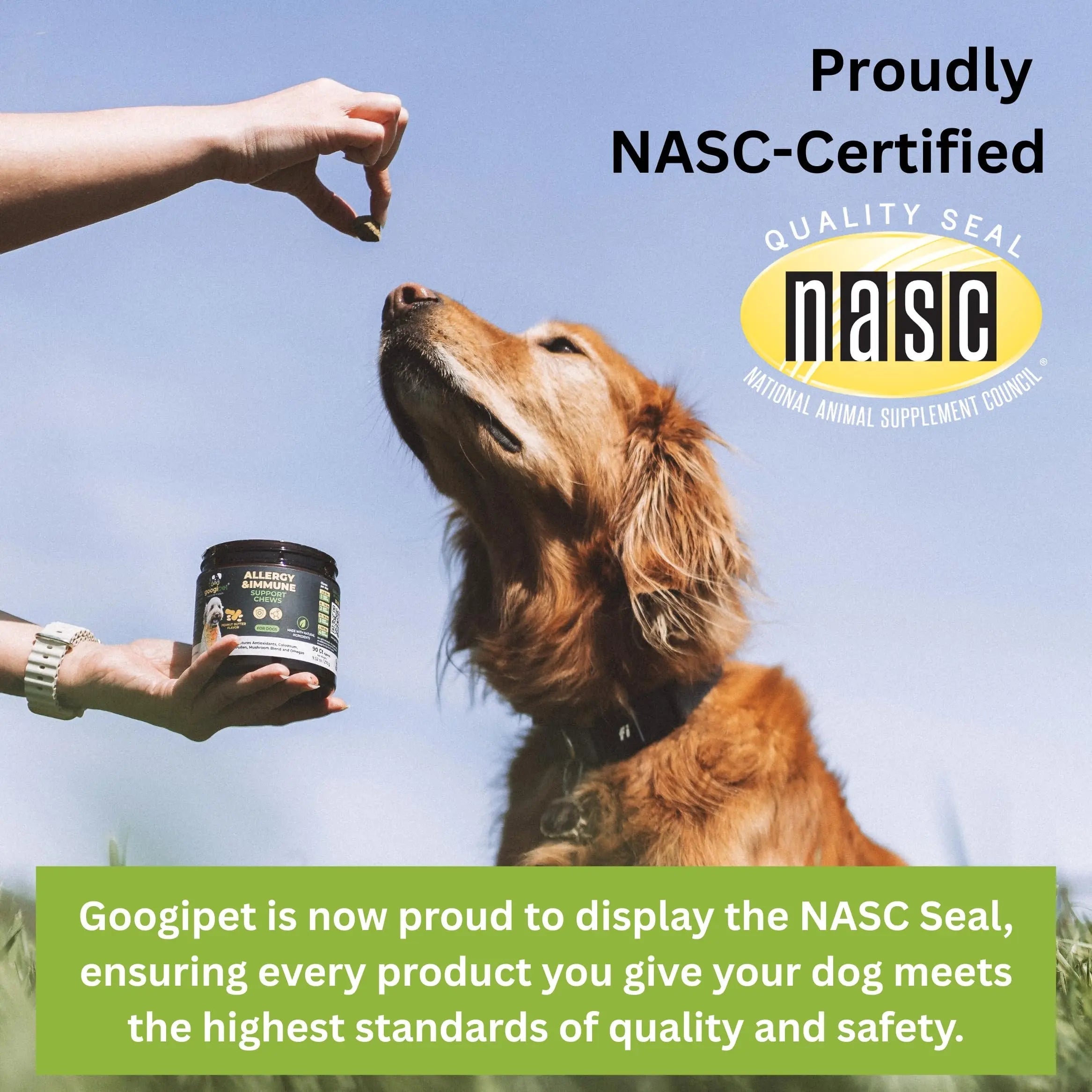 Googipet Probiotics for Dogs Digestive Health - Prebiotics and Probiotics Chews for Dog Yeast Infection Treatment + Digestive Enzymes - Dog Probiotics for Itchy Skin & Ears w/Papaya, Pumpkin, & Fiber GOOGIPET NATURAL PET PRODUCTS buy australia supplements
