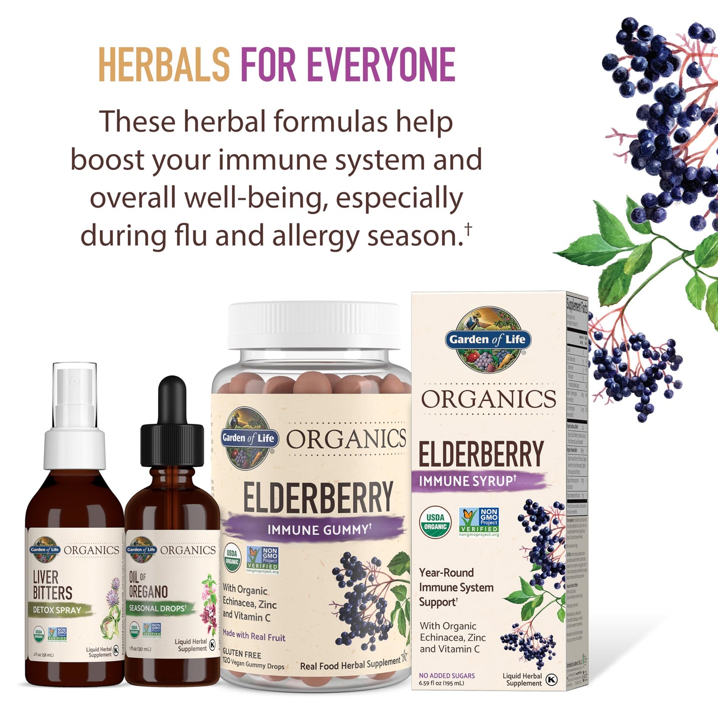 Garden of Life Organics Elderberry Gummies for Adults & Kids - Immune Support Supplement with Organic Fruit, Herbal Blend, Elderberry, Echinacea, Zinc, Garden of Life