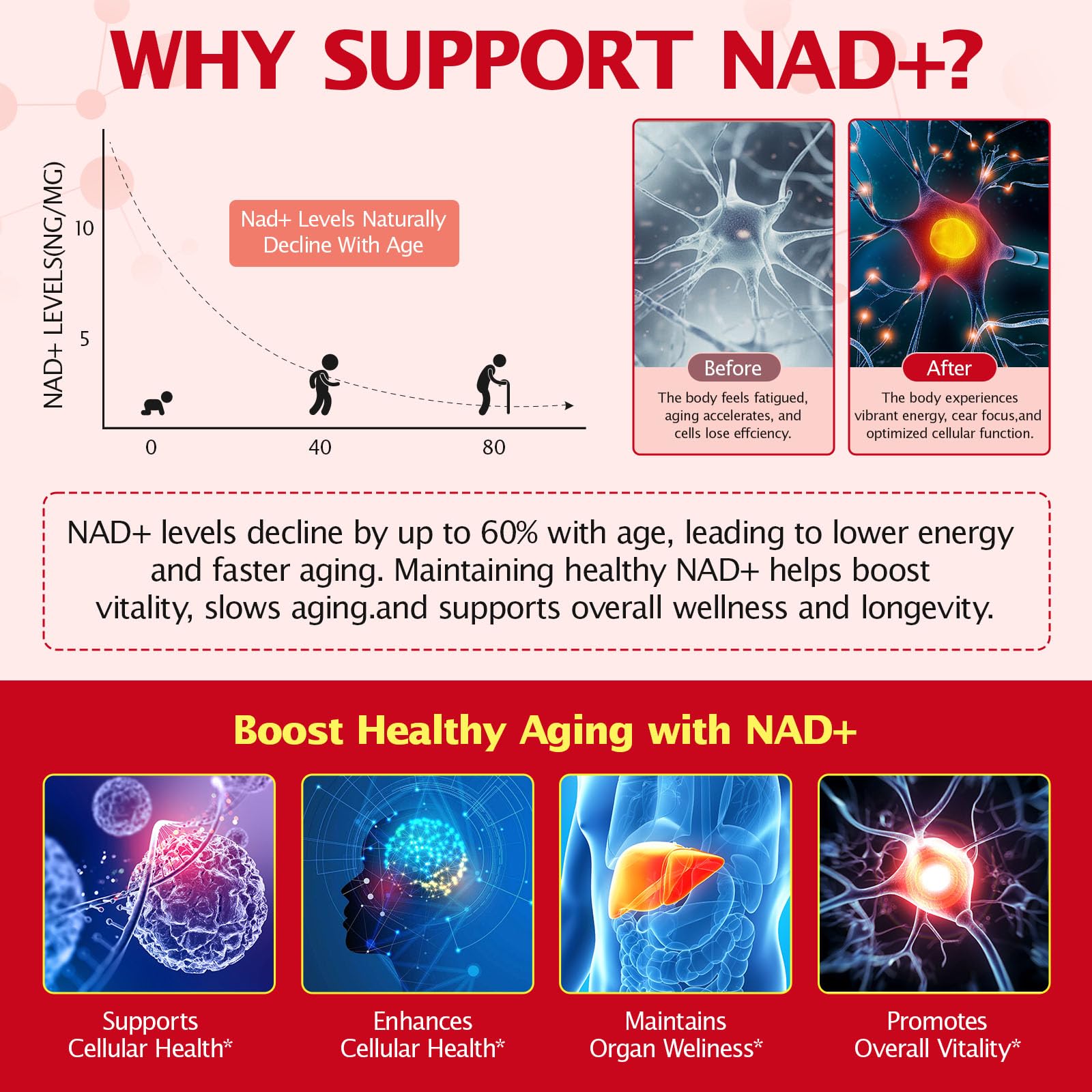 NAD+ Supplement 1000mg Liquid Packets 21pcs, Nicotinamide Riboside Resveratrol, NAD Supplements for Women Men, Anti-Aging, Repairs Cells, Support Natural Vitality Nyloriaine buy australia supplements