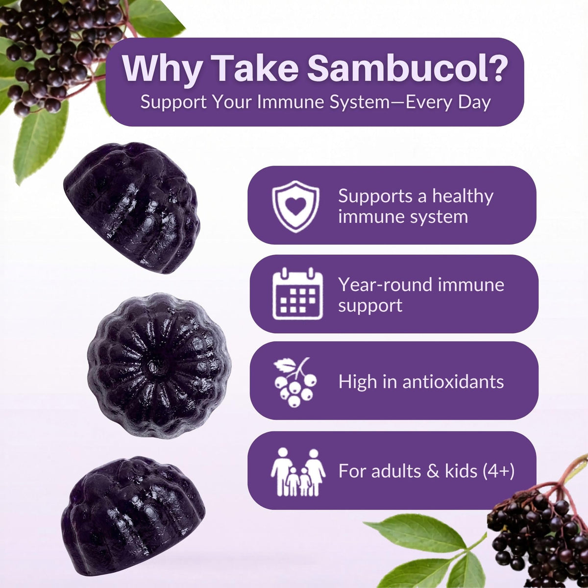 Sambucol Elderberry Gummies - Immune Support Supplement for Adults & Kids with Vitamin C & Zinc, Sambucol Elderberry Sambucol