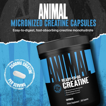 Animal Micronized Creatine Monohydrate Capsules - 300 Caps, 2500mg per Serving to Support Muscle Growth, Endurance, ATP Production, Cognitive Function, Strength Animal