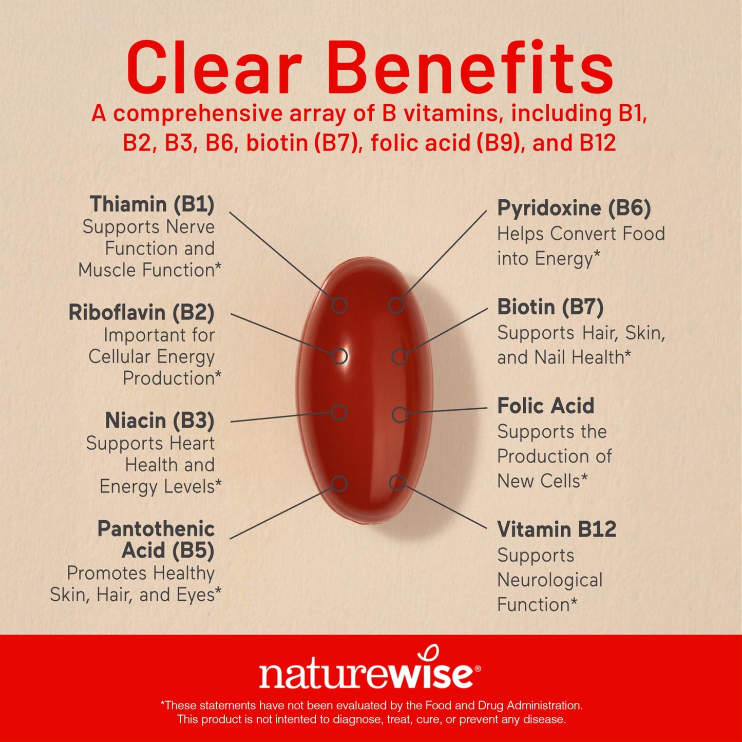 NatureWise Vitamin B Complex for Women and Men - with Folic Acid Biotin B1 B2 B3 B6 B12 - Support Cellular Energy & Mental Clarity - Gluten & Dairy Free NatureWise