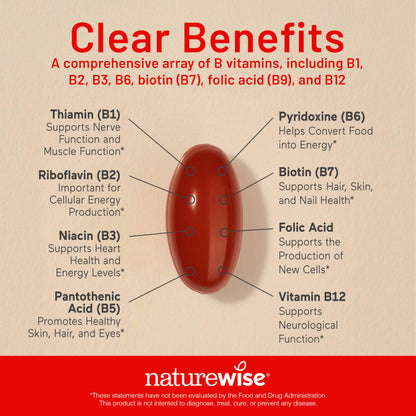NatureWise Vitamin B Complex for Women and Men - with Folic Acid Biotin B1 B2 B3 B6 B12 - Support Cellular Energy & Mental Clarity - Gluten & Dairy Free NatureWise
